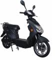  Forte VSX